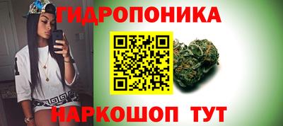 spice Тула