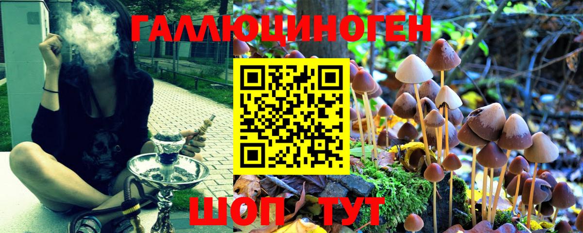 Псилоцибиновые грибы Psilocybine cubensis Краснокамск